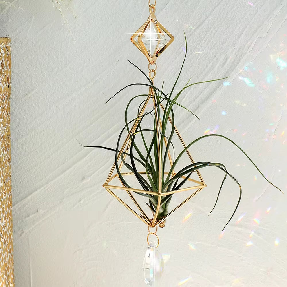 Garden Suncatchers Gold Hanging Air Plant Holder Tillandsia Air Plants Hanger Air Fern Display Planter with Crystal Home Decor