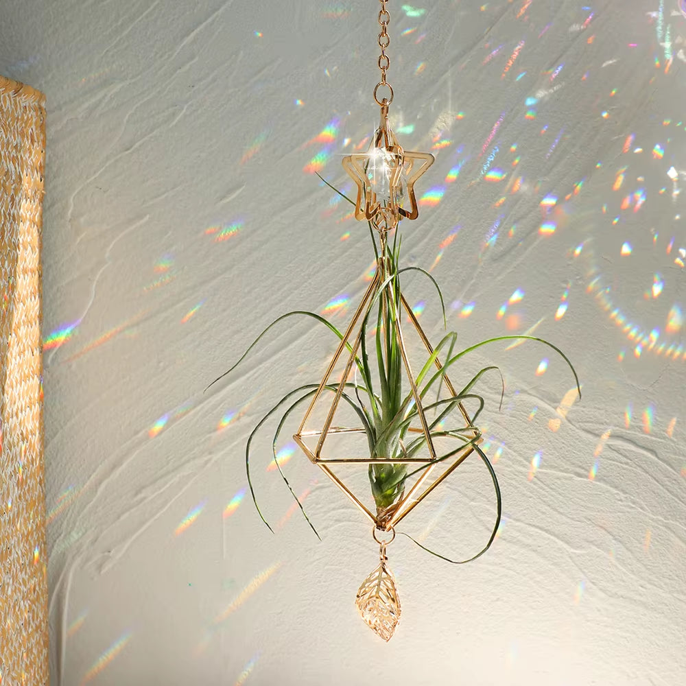 Garden Suncatchers Gold Hanging Air Plant Holder Tillandsia Air Plants Hanger Air Fern Display Planter with Crystal Home Decor