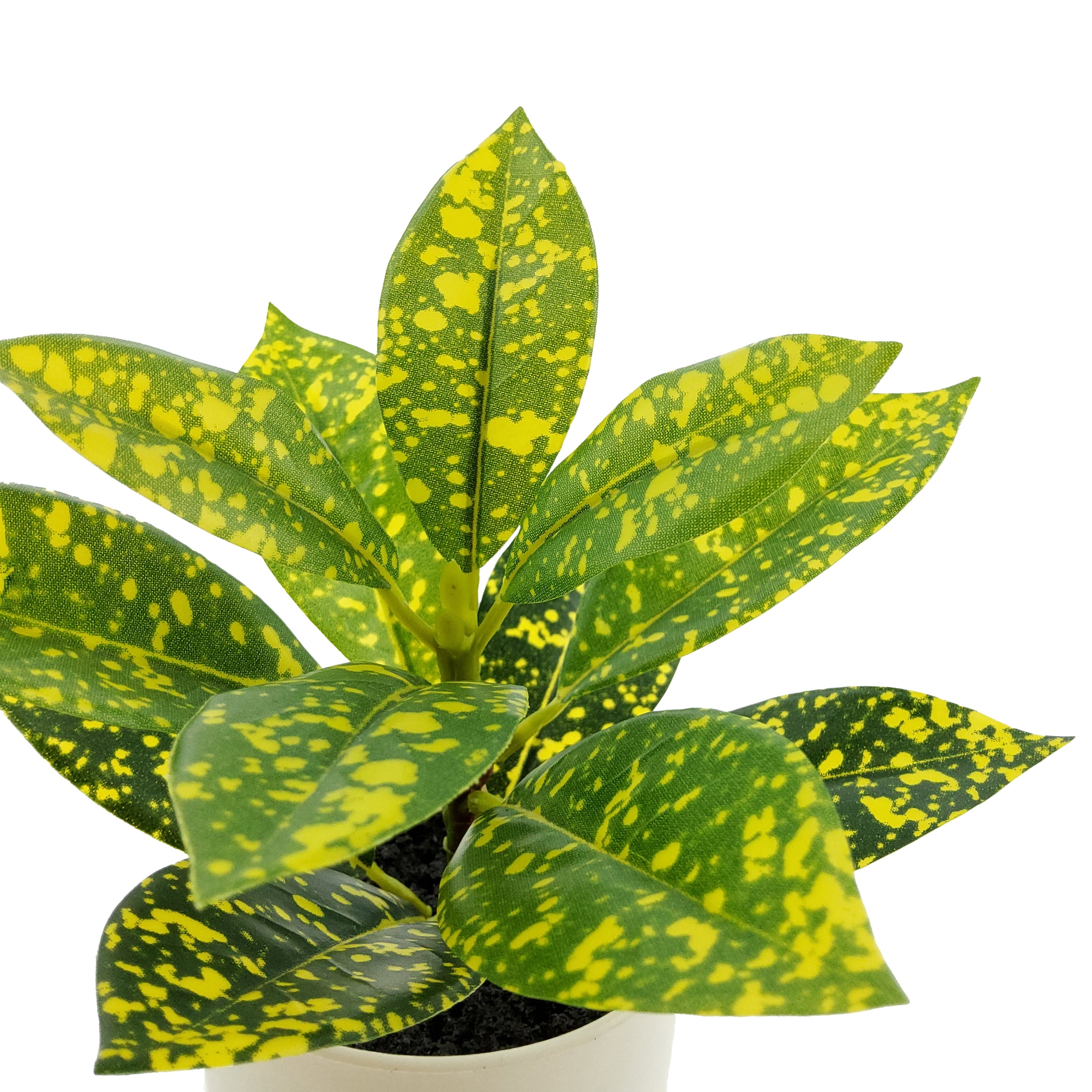 Indoor Artificial 7.5In Plant in Pot, Spotted Laurel Plant, Green and Yellow Color.