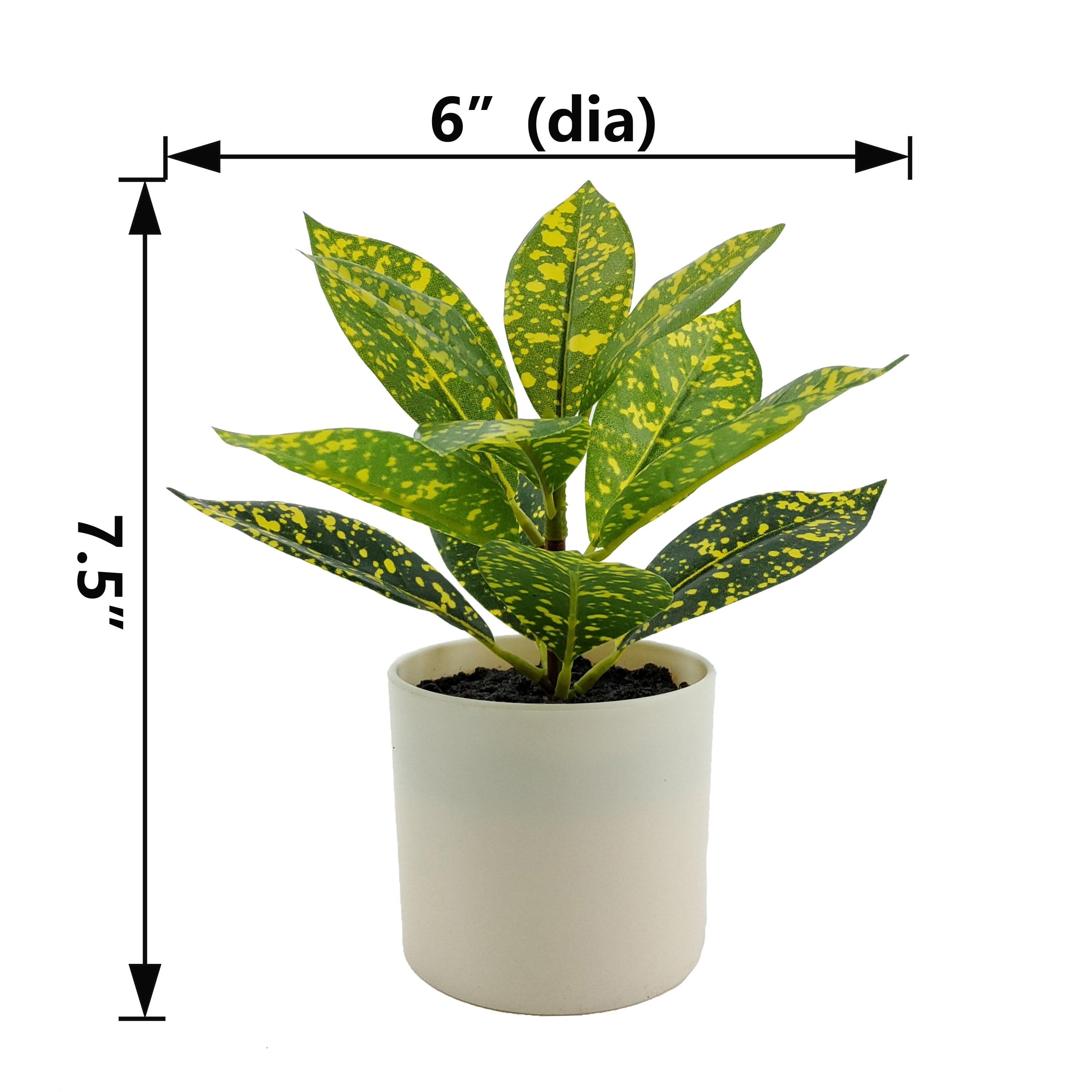 Indoor Artificial 7.5In Plant in Pot, Spotted Laurel Plant, Green and Yellow Color.