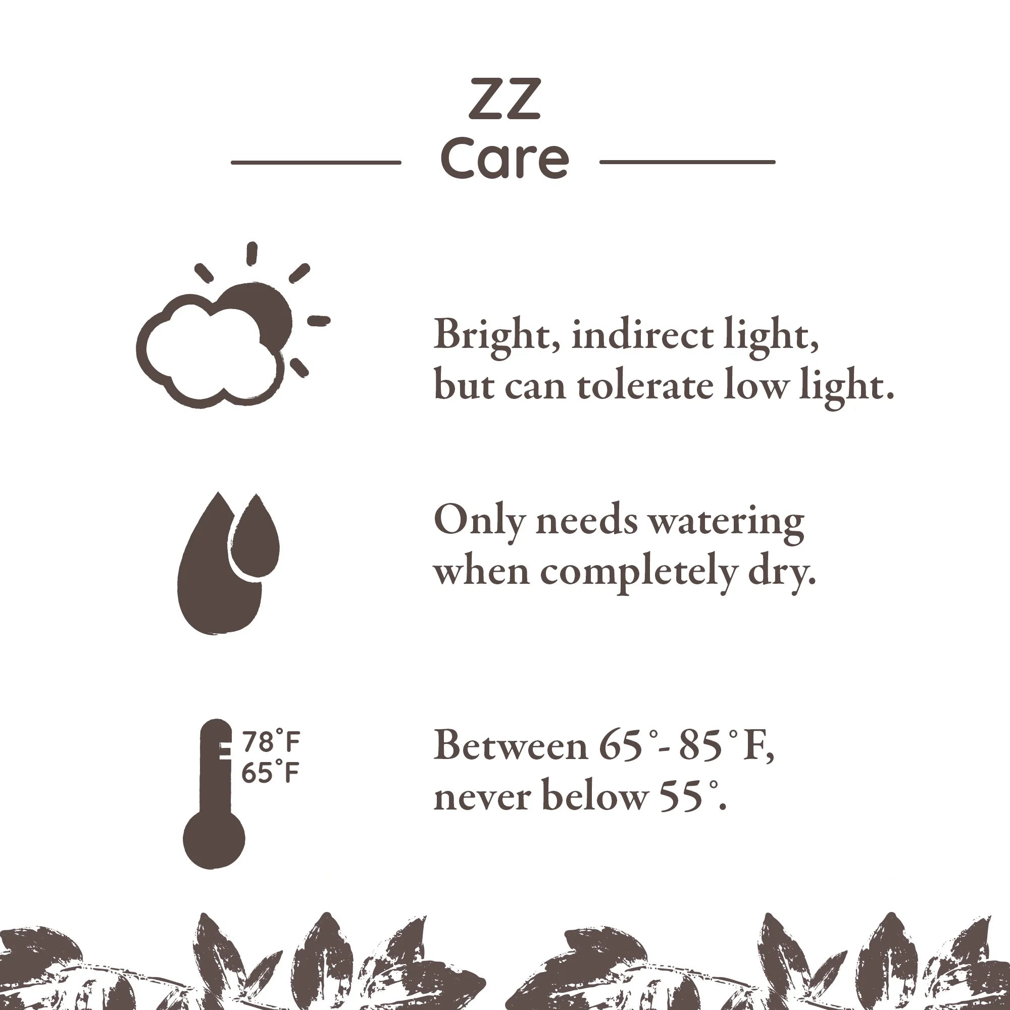 Wild Interiors 13-16" Zamioculcas ZZ Live Plant in 5" White Ceramic Pot, House Plant