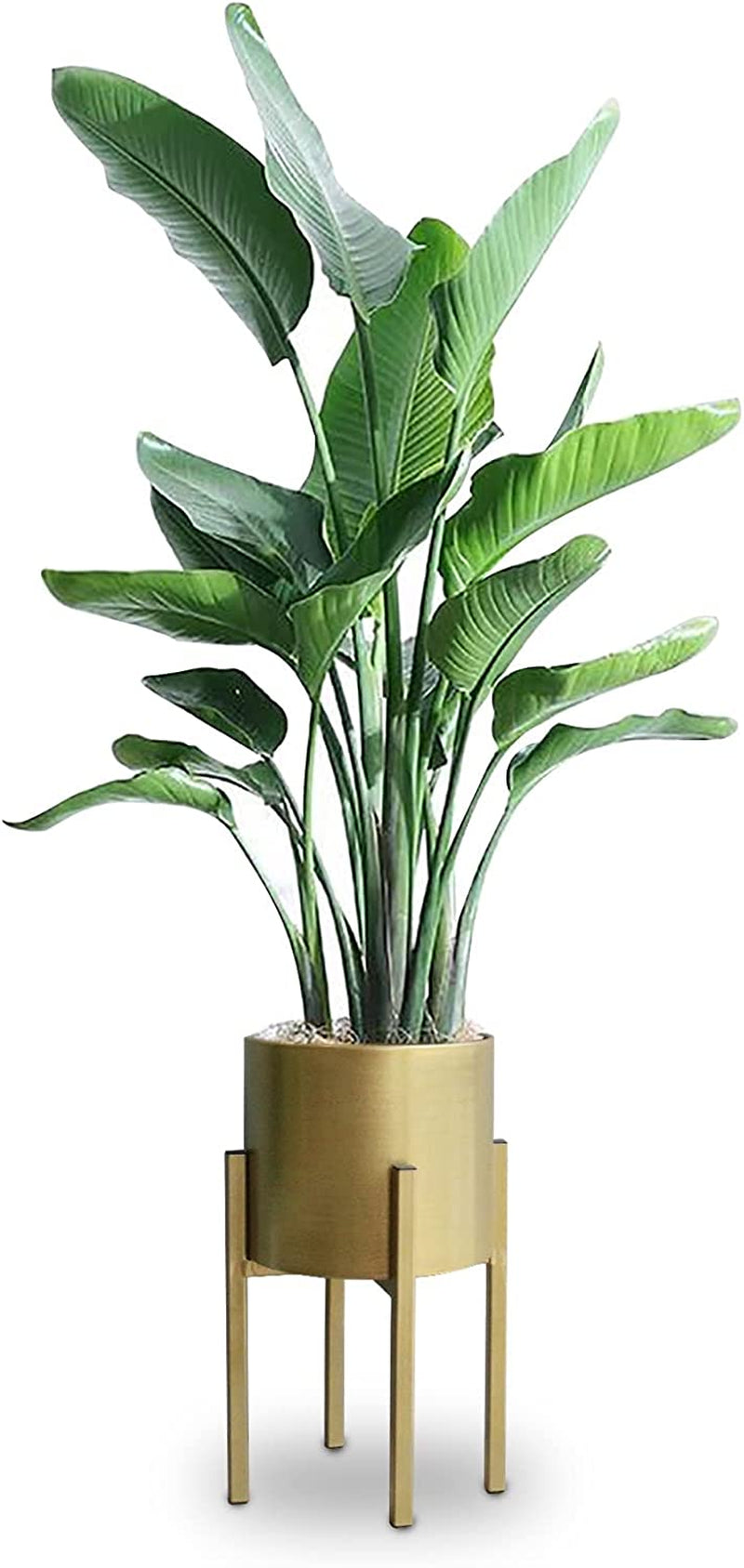 Planter Stand, Pot Stand for Plants, Metal Plants，Metal Plant Pot on Stand Flower Plant Stand Plant Shelf Plant Holder with Removable Pot Outdoor Indoor Home Decoration(Pot Included)…