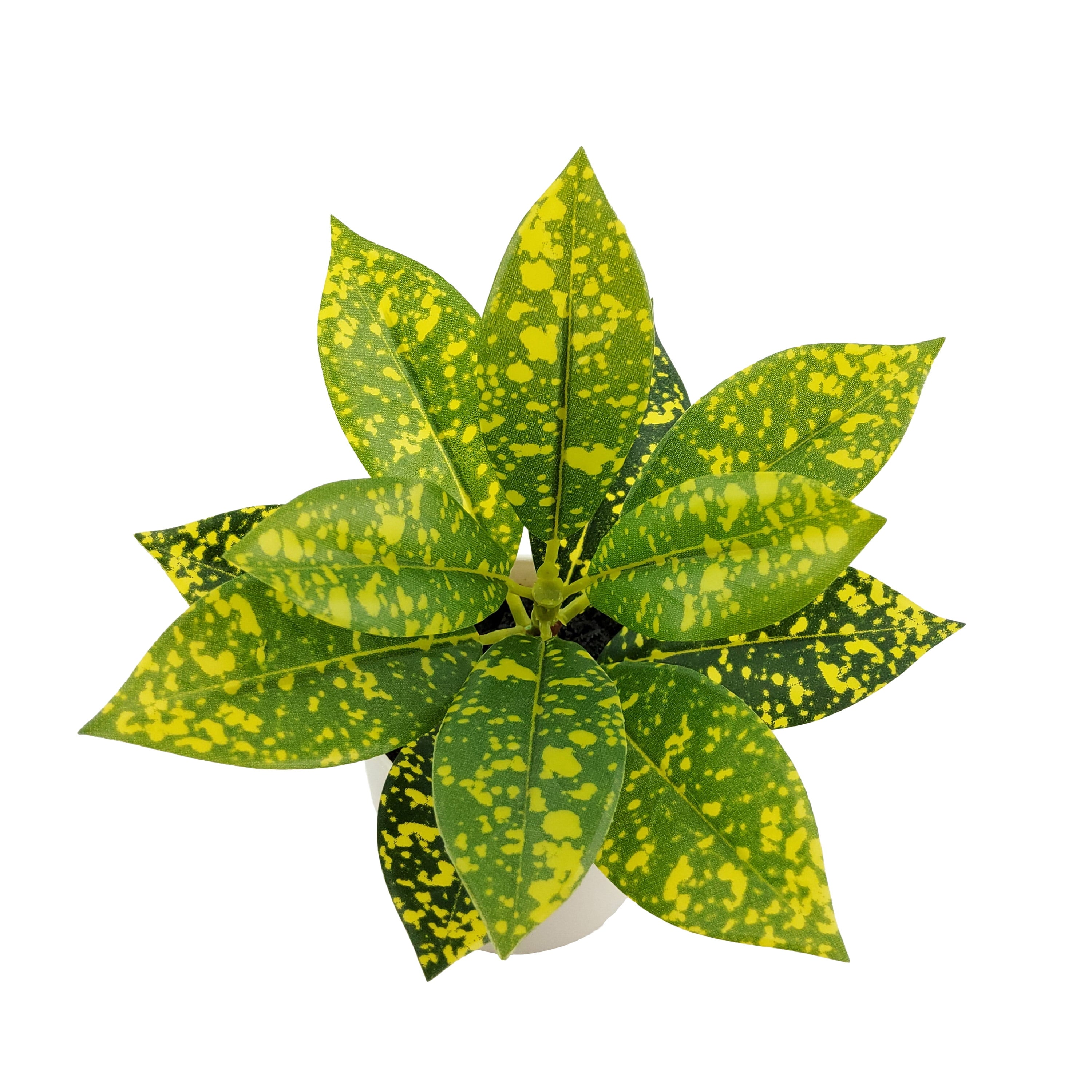 Indoor Artificial 7.5In Plant in Pot, Spotted Laurel Plant, Green and Yellow Color.
