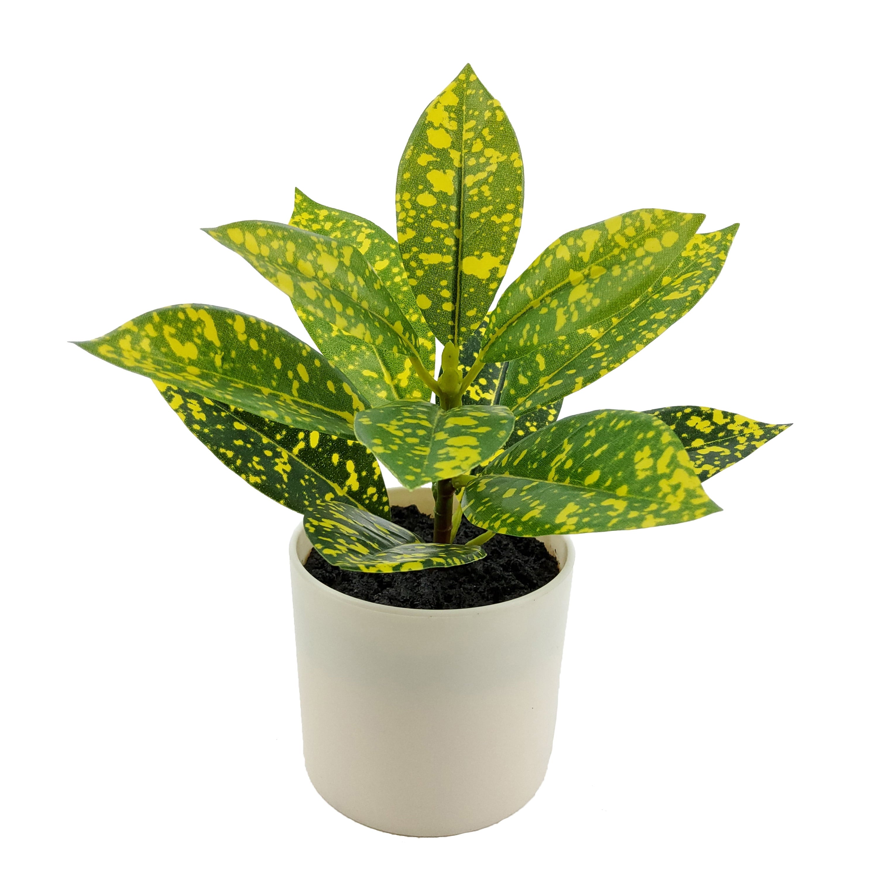 Indoor Artificial 7.5In Plant in Pot, Spotted Laurel Plant, Green and Yellow Color.