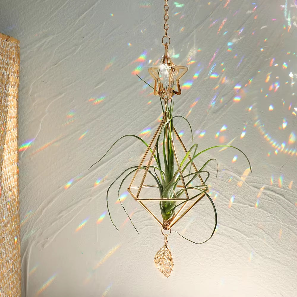 Garden Suncatchers Gold Hanging Air Plant Holder Tillandsia Air Plants Hanger Air Fern Display Planter with Crystal Home Decor
